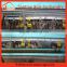 Alibaba china hot sell automatic quail layer cage system