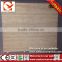 800x800 homogenous sugar glazed lappato rustic wall and floor tiles