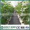 high efficiency pp woven fabric for sale with CE certification