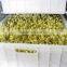 bean sprout making machine(CE)/Mung bean/black bean sprout machine