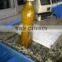 Crude Palm Oil (CPO)