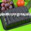 Food Grade Plastic Fresh Food Tray