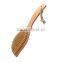 Spa bath brush