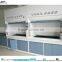 Electro-Galvanized Steel Fabrication Chemical Fume Hood With Fume Scrubber
