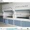 Clean Room Laboratory Steel Bench-Top Fume Hood With Sink