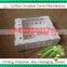 PP Coroplast Plastic Boxes for Packing Okra