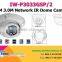 IW-P3062GZT 1080P License Plate Recognition IP Camera