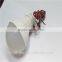 china origin led small car light/white bulb push light/led bulb light for roof
