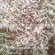 Cumin Seed