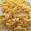 New Crop Canned Foods / Canned whole kernel corn 425g