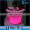 remote control PE decorative led glowing vase light,led flower pot lighting