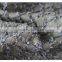 Newest Classic Gray Plaid Wool Tweed /blening Wool Polyester Fabrics for Overcoats