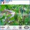 Good Quality Plastic Green Climbing Plants Support Netting