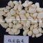 IQF peeled garlic/frozen peeled garlic/ frozen garlic