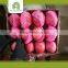 new arrival fresh apple fruit fuji apple with market price