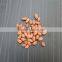 BEST QUALITY RED BOLD GROUNDNUT KERNEL