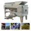 Commercial fresh grape de-stemmer and crusher