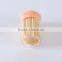 2016 NEW product plastic bottle packed toothpick in bulk