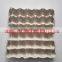 Australia best selling paper egg tray for 30 chicken eggs