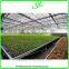 Multi- Span Potato Film Greenhouse for Sale