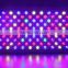 2016 Hot-selling LED Grow Light 1000w Full Spectrum for Greenhouse and Indoor Plant Flowering Growing (Red Blue UV IR)