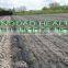 anti-insect agriculture net