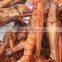 Poultry feed raw materials dried grasshopper