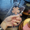 Pretty Cell Phone Housing Silicone Mobile Phone Cases for IPhone7/7Plus/6/6s/6plus/6splus Soft Tpu Cover Case Hang Rope