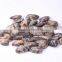 VACCUM CLAM FROM CHINA FOR EXPORT