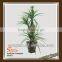 artificial pineapple tree, artificial tree, artificial apple tree