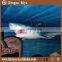2015 quality funny simulation of the ocean animals