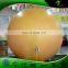 3 m Inflatable Planet Balloon Inflatable Sun Helium Ball Inflatable Advertising Decoration Party