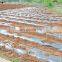 Eco- Friendly Best Price Plastic Film for Agriculture