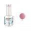 RONIKI Rainbow Gel Color,Nail Matte Gel Polish,Nail Painting Color Gel,Nail Art Gel