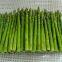 Frozen Green  asparagus spears