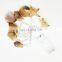 New Designed Popular Starfish/Conch/Seashell Shaped LED String Light