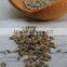 First Grade Organic Roasted Ajwain Seeds For Sales