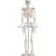 Multi-functional Advanced medical science mannequin trauma nursing Training Manikin nursing training mannequin