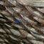 Galvanized Iron (GI) Binding Wire BWG20 BWG18 BWG16