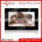7-inch Large Size Digital Photo Frames With 800 x 480 Pixels Resolution and MP3 Player