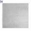 Custom Stainless Steel Perforated Sheet/galvanized Punching Plate/punched Metal Screen Wire Mesh