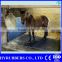 China horse mat cow mat stable mat rubber mat
