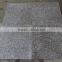 Decorative Stone Best Sell Price Granite Tiles-G648 for Project
