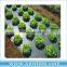 Agricultural PE perforated mulch film price
