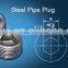 Hex Socket Stainless Steel Pipe Plug with Geomate