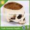 Garden Decorative Resin Skull Flower Pot