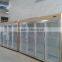 glass door display freezer remote compressor