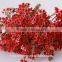 valentine's day wholesale fresh cut red wintersweet flower