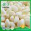 (Various Size) Yummy Certification Appoved Pickled Garlic In Brine