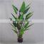 Artificial Plant Water Beauty